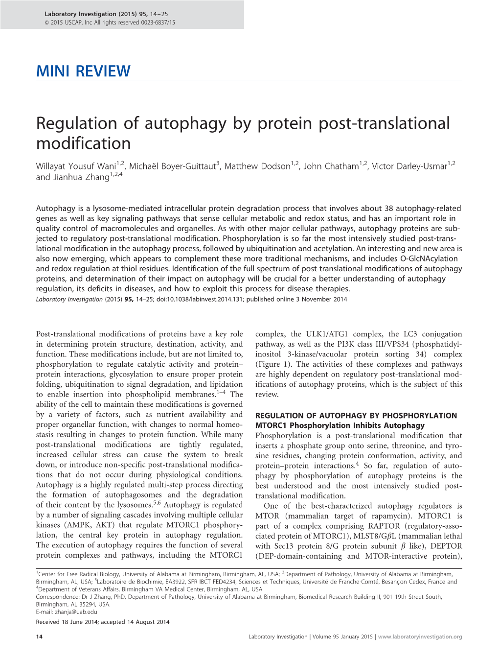 Regulation of Autophagy by Protein Post-Translational Modification