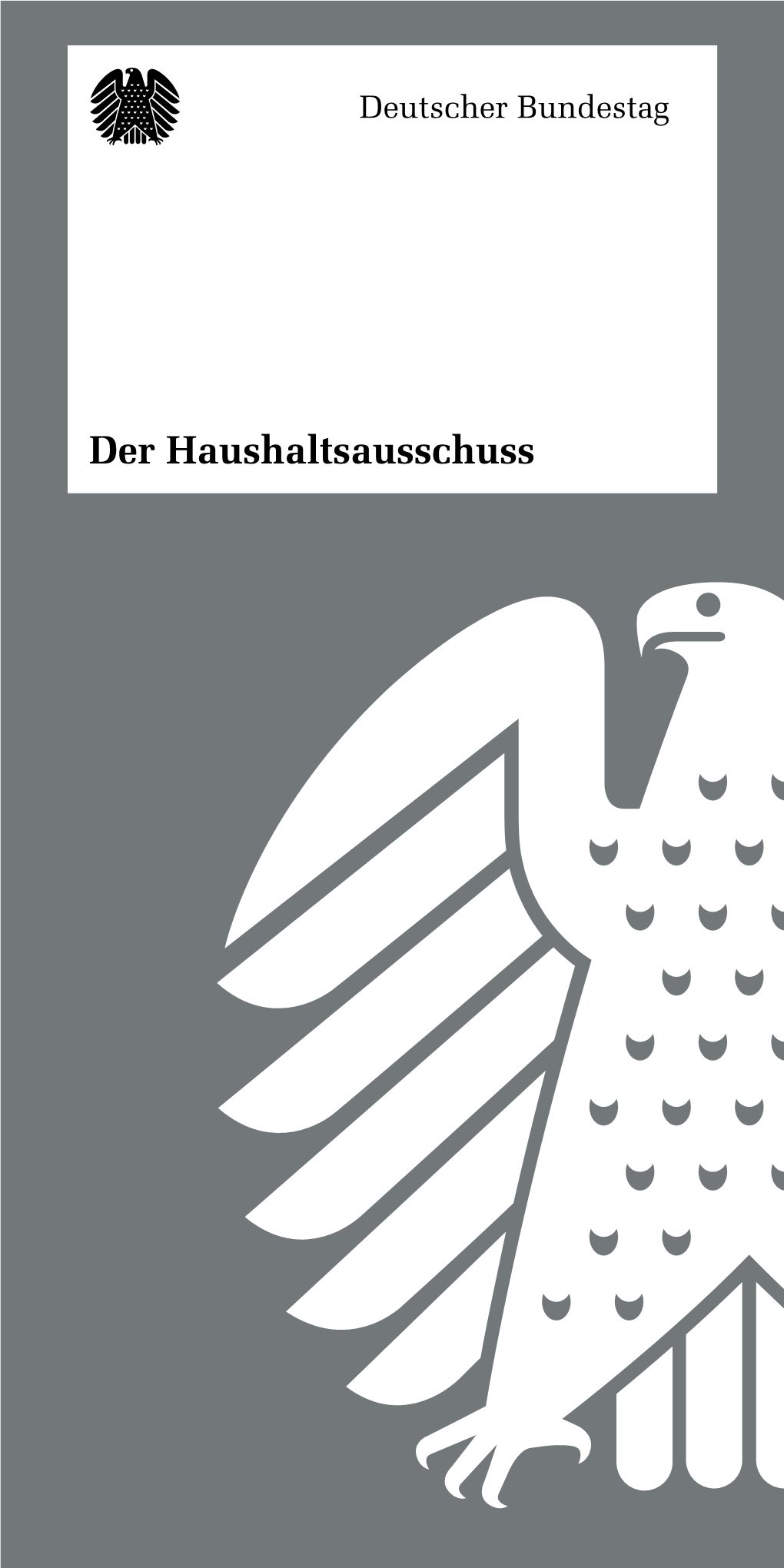 Der Haushaltsausschuss