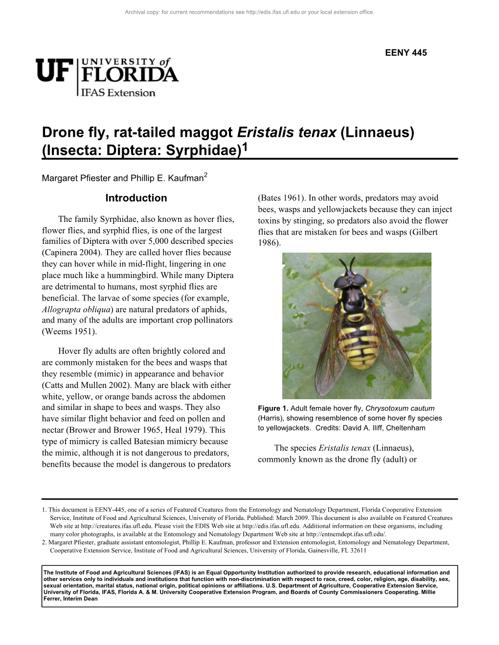 Drone Fly, Rat-Tailed Maggot Eristalis Tenax (Linnaeus) (Insecta: Diptera: Syrphidae)1