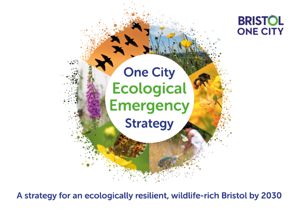 Download the One City Ecological Emergency Strategy