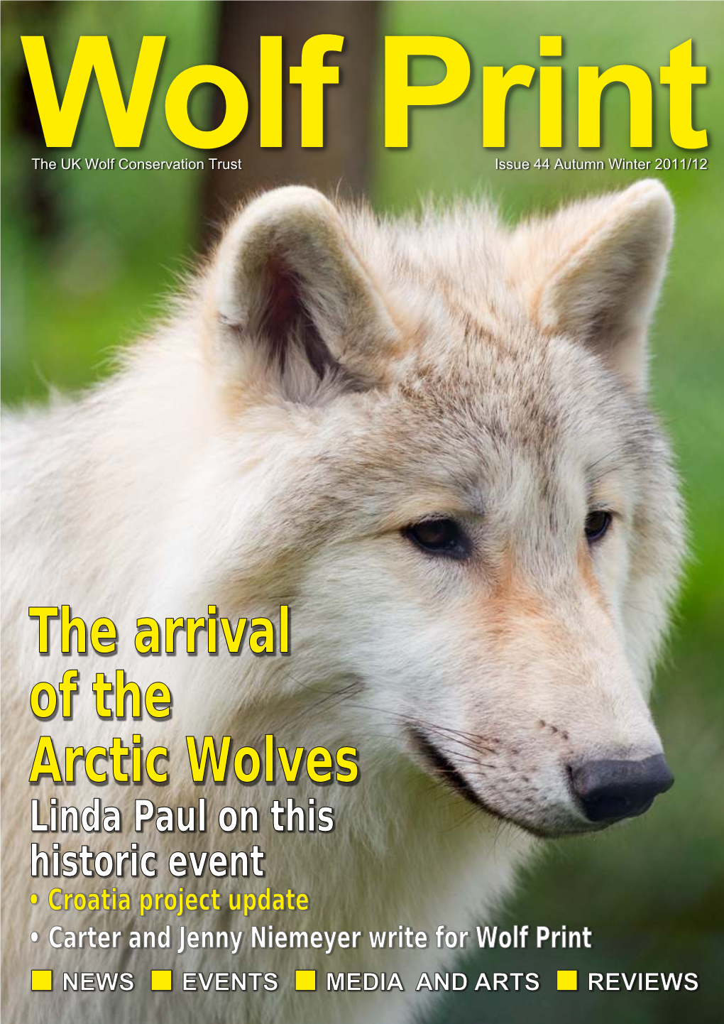 The Arrival of the Arctic Wolves