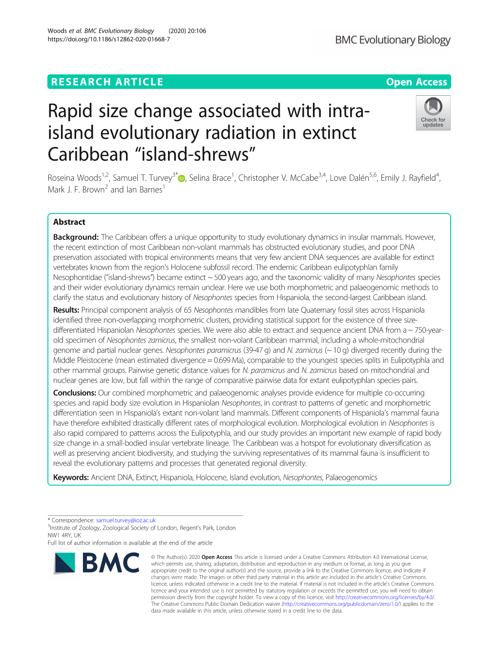 Rapid Size Change Associated with Intra-Island Evolutionary Radiation in Extinct Caribbean “Island-Shrews”