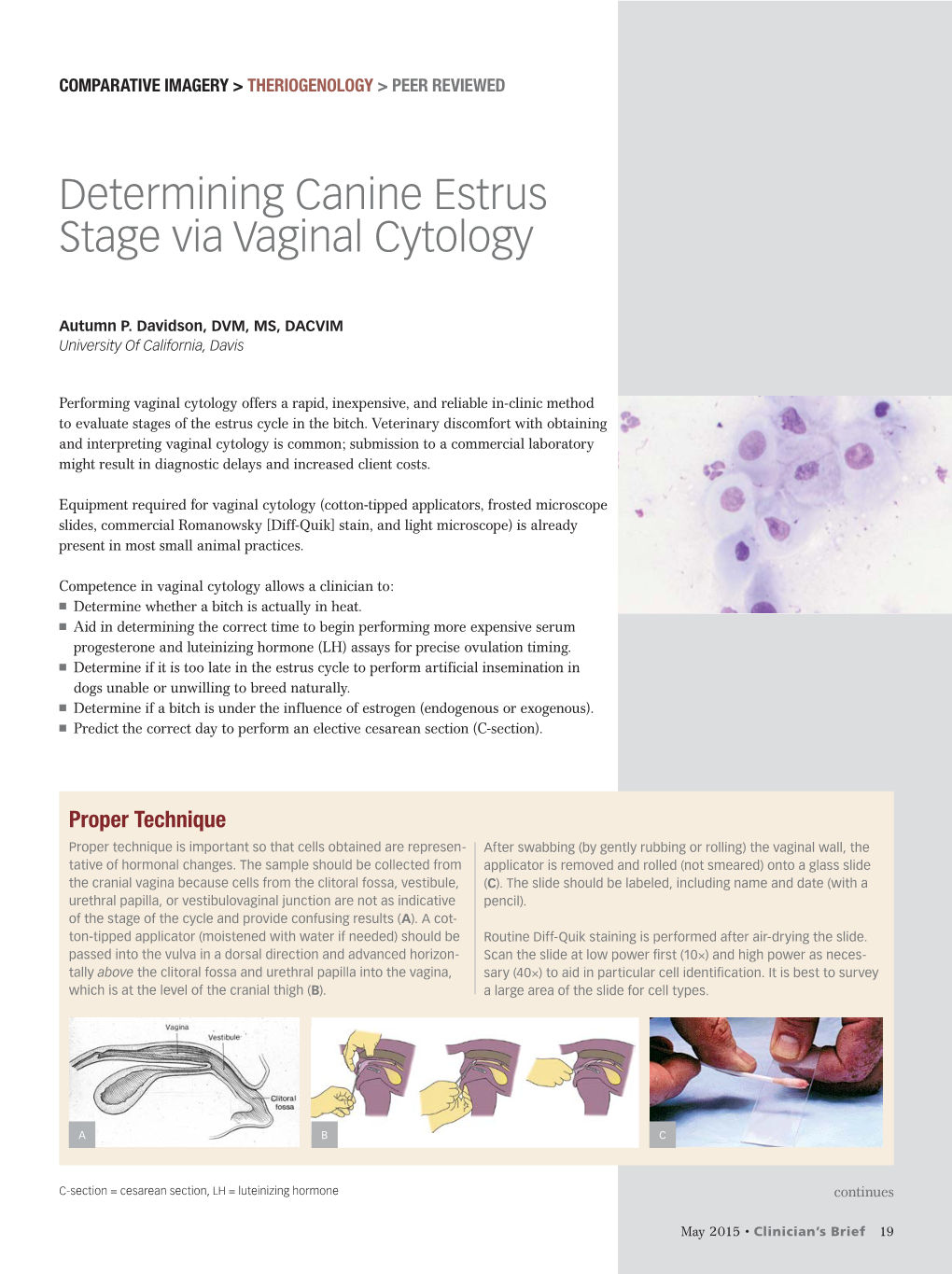 Determining Canine Estrus Stage Via Vaginal Cytology