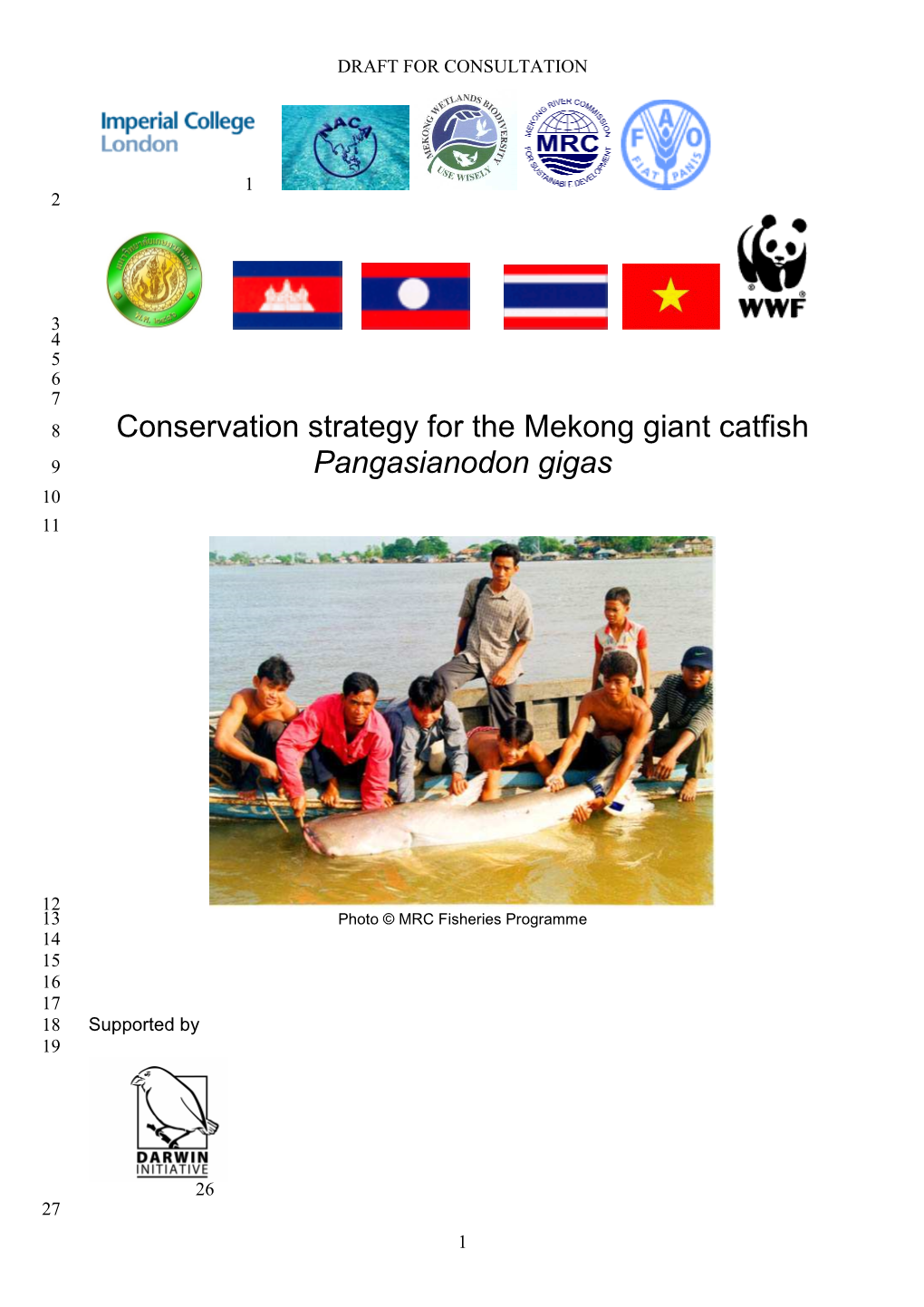 Conservation Strategy for the Mekong Giant Catfish Pangasianodon Gigas
