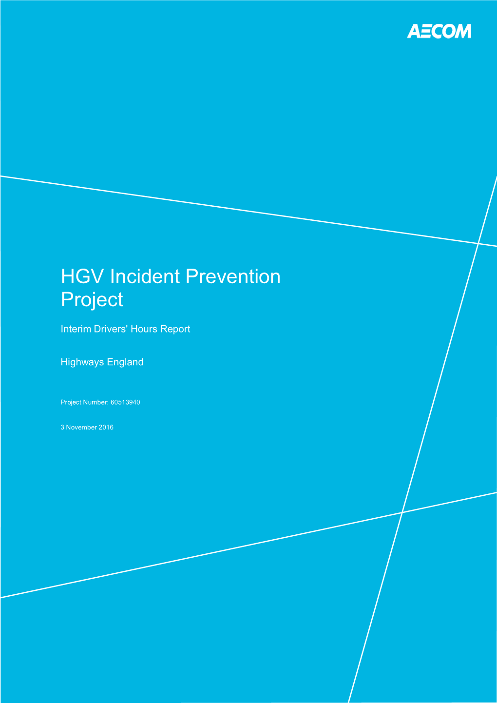 James Mayes Report HGV Incident Prevention Project 2016-11-03