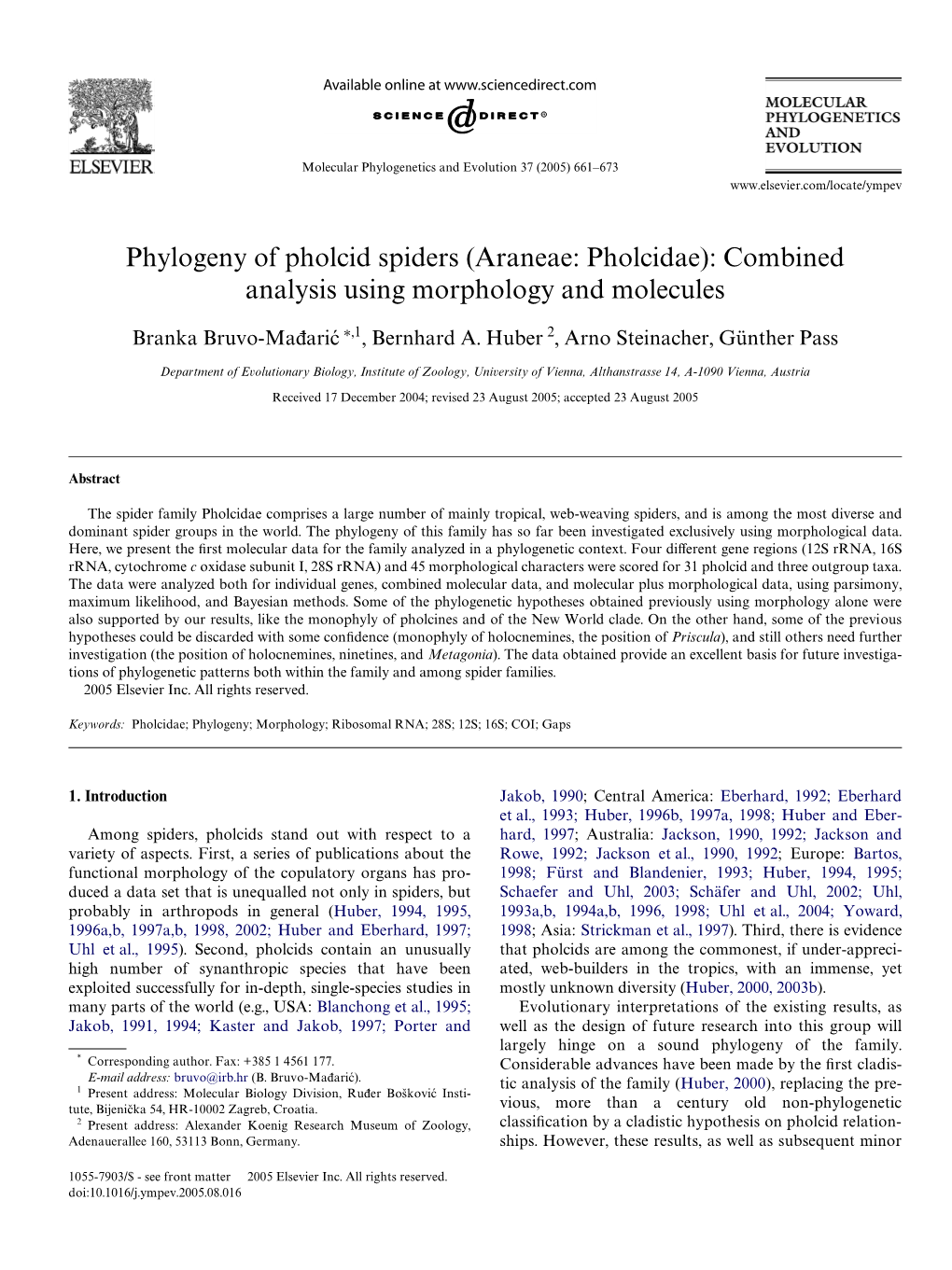 Phylogeny of Pholcid Spiders (Araneae: Pholcidae): Combined Analysis Using Morphology and Molecules