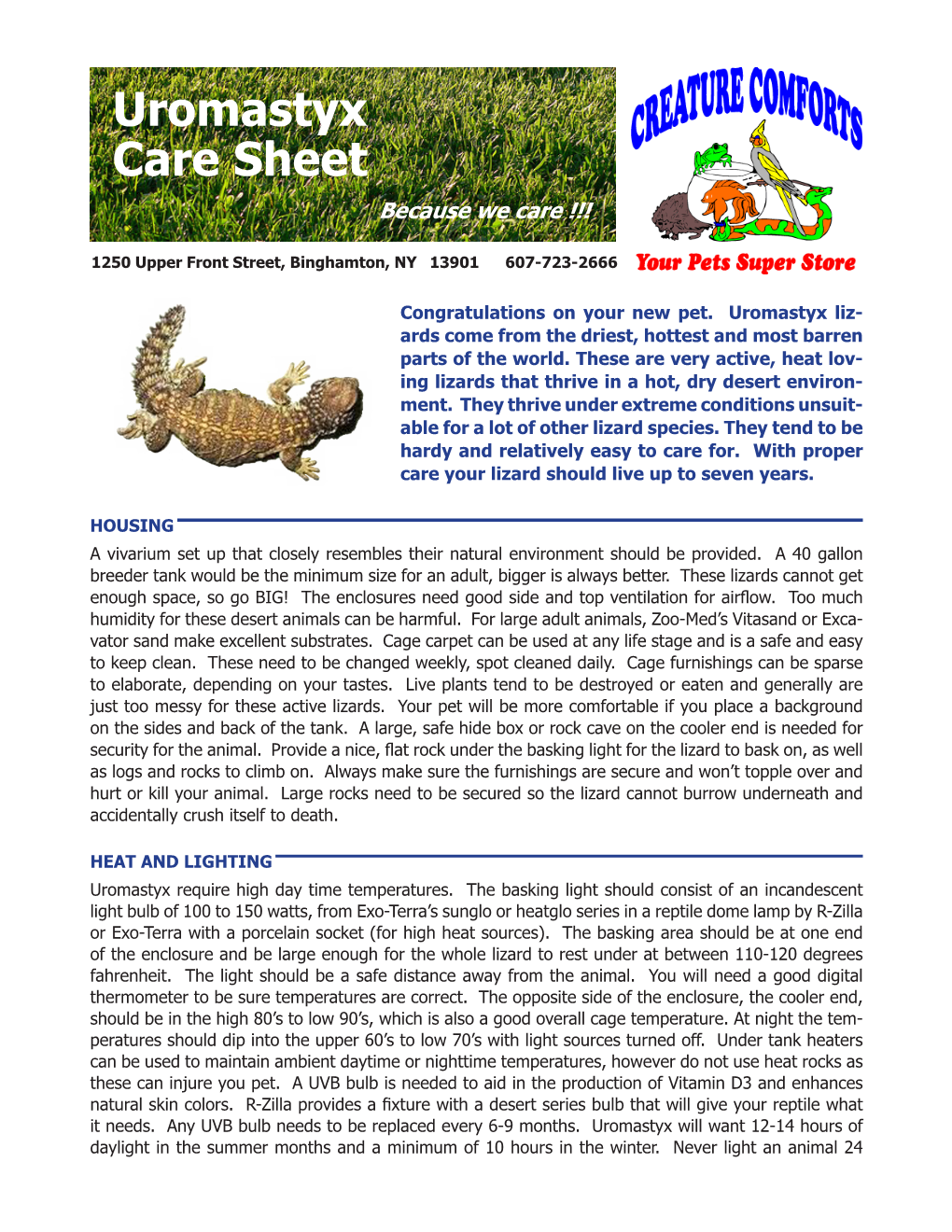 Uromastyx Care Sheet Because We Care !!!