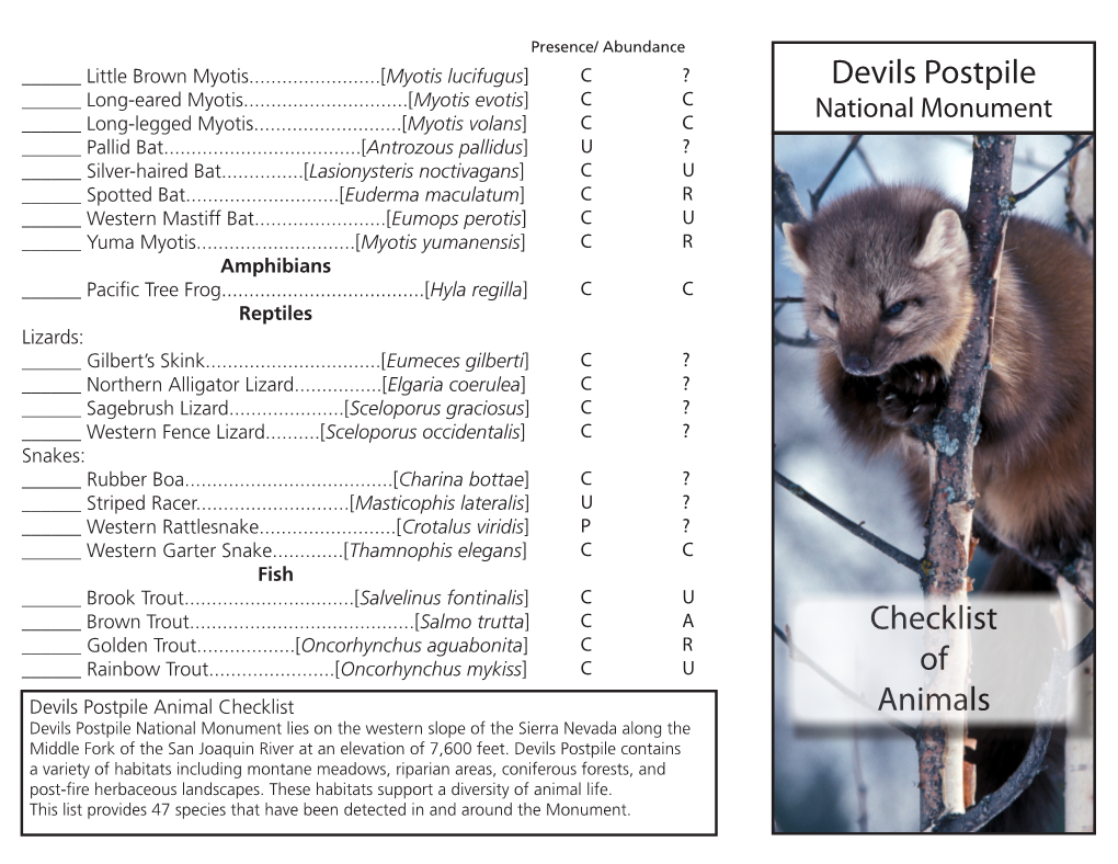 Devils Postpile Checklist of Animals