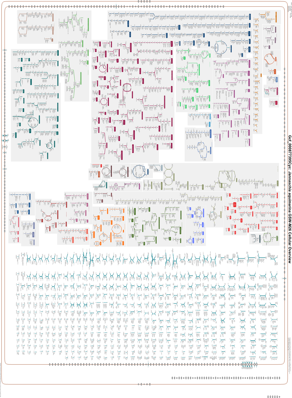 Generated by SRI International Pathway Tools Version 25.0, Authors S