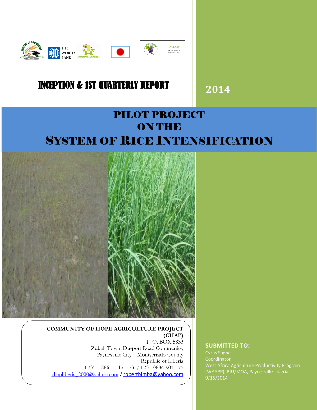 Pilot Project on the System of Rice