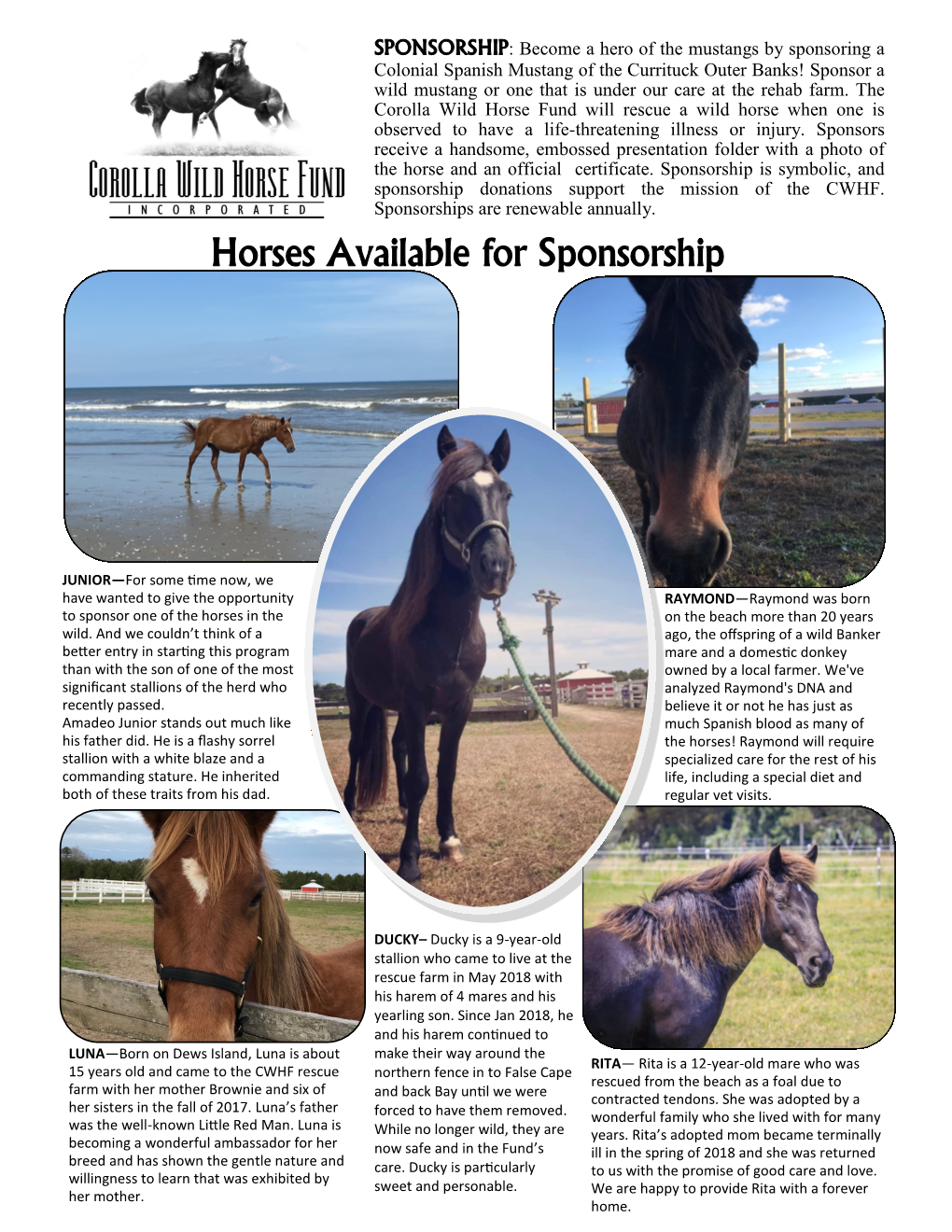 Horses Available for Sponsorship