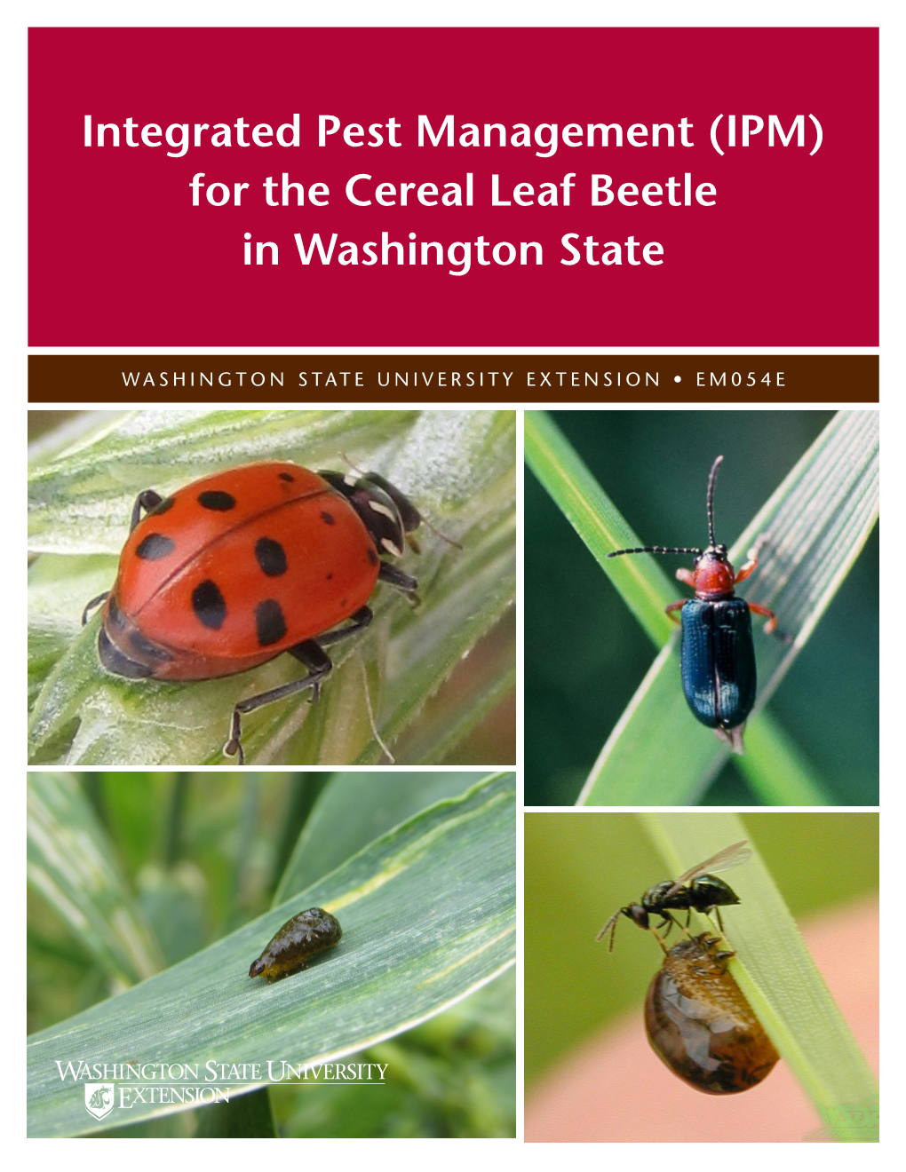 Integrated Pest Management (IPM) for the Cereal Leaf Beetle in Washington State