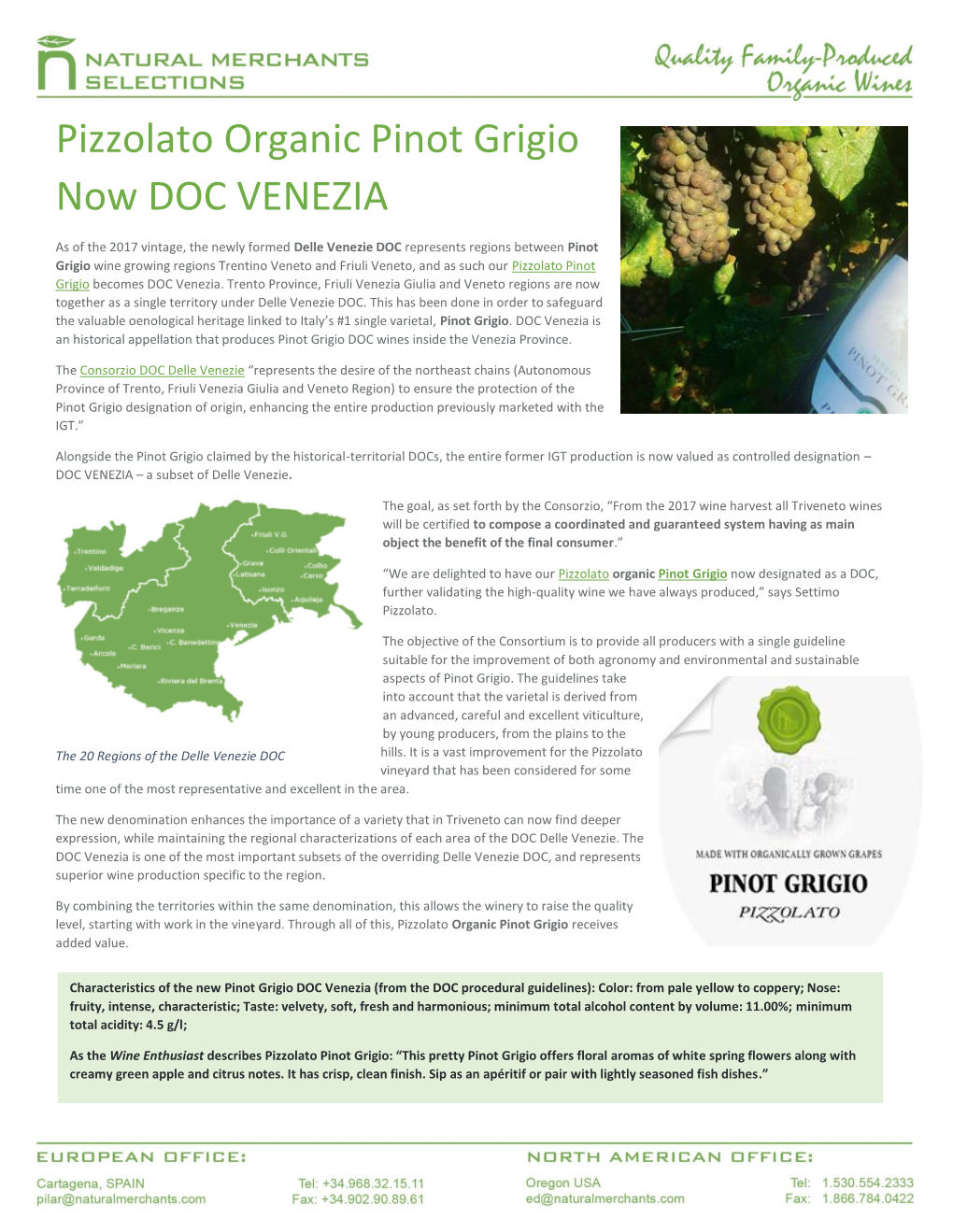 Pizzolato Organic Pinot Grigio Now DOC VENEZIA
