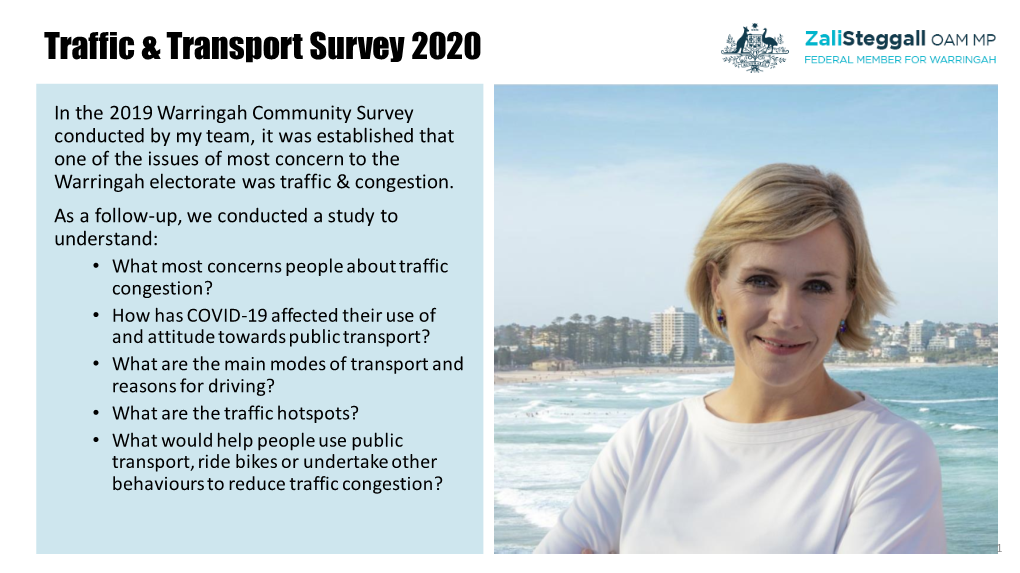 Traffic & Transport Survey 2020