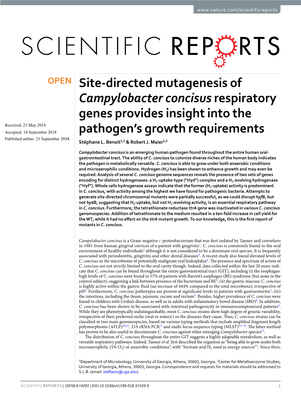 Site-Directed Mutagenesis of Campylobacter Concisus Respiratory