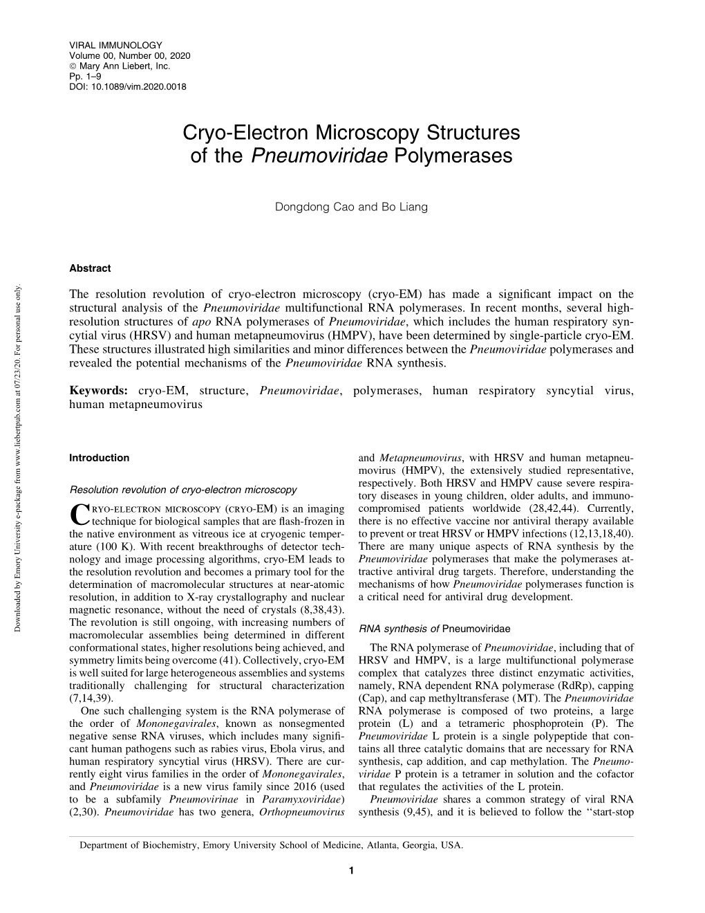 Cryo-Electron Microscopy Structures of the Pneumoviridae Polymerases