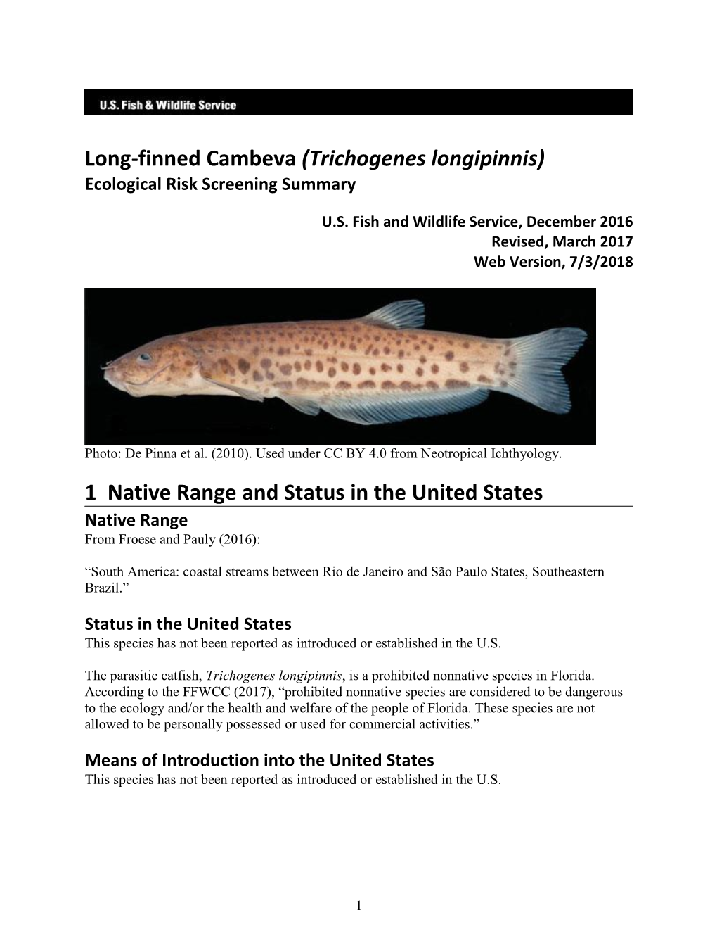 Trichogenes Longipinnis) Ecological Risk Screening Summary