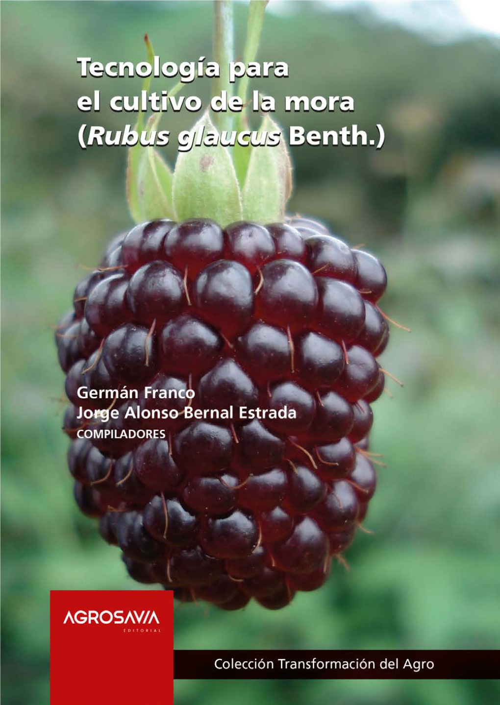 Tecnología Para El Cultivo De La Mora (Rubus Glaucus Benth.)