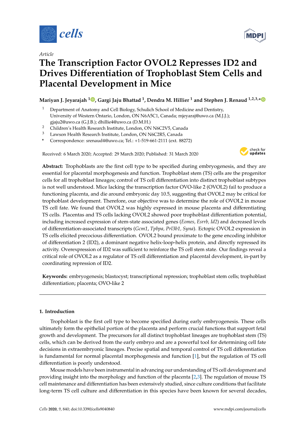 The Transcription Factor OVOL2 Represses ID2 and Drives Diﬀerentiation of Trophoblast Stem Cells and Placental Development in Mice
