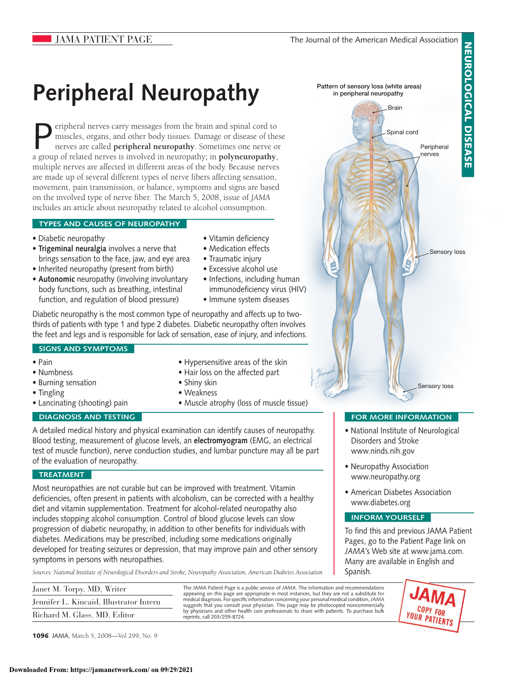 Peripheral Neuropathy in Peripheral Neuropathy Brain