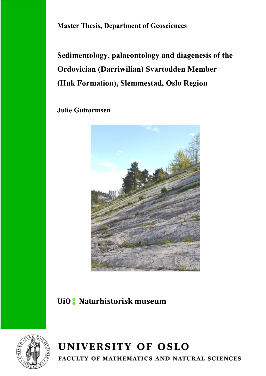 Sedimentology, Palaeontology and Diagenesis of the Ordovician (Darriwilian) Svartodden Member (Huk Formation), Slemmestad, Oslo Region