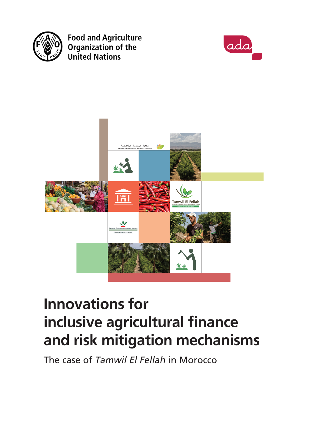 Innovations for Inclusive Agricultural Finance and Risk Mitigation Mechanisms the Case of Tamwil El Fellah in Morocco