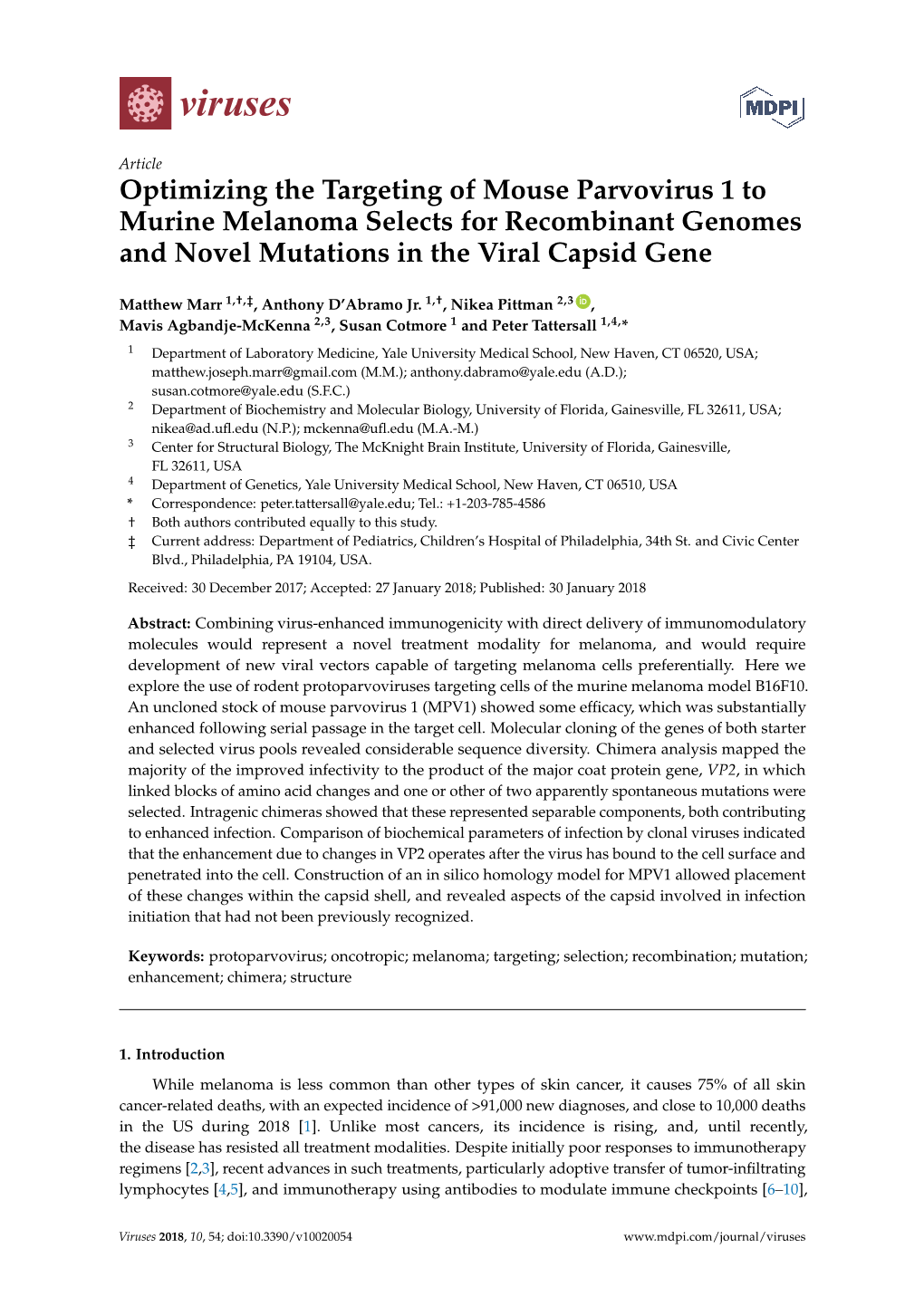 Optimizing the Targeting of Mouse Parvovirus 1 to Murine Melanoma Selects for Recombinant Genomes and Novel Mutations in the Viral Capsid Gene