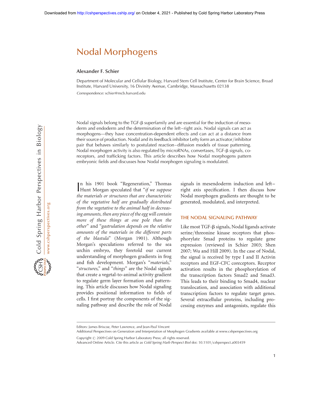 Nodal Morphogens