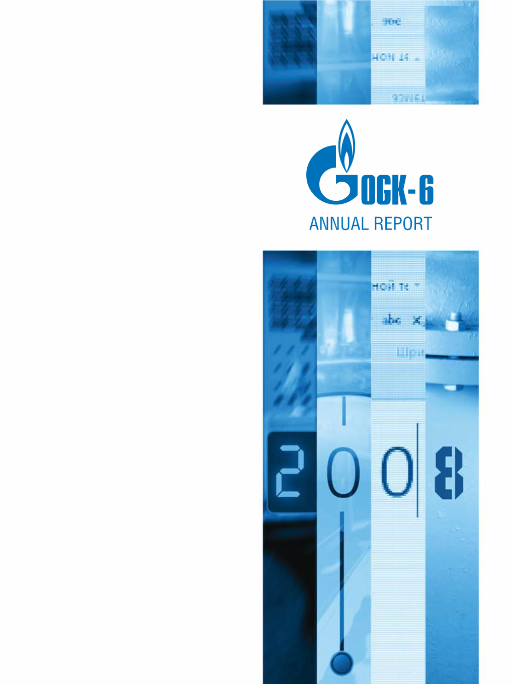 ANNUAL REPORT for 2008 of JSC “OGK-6”