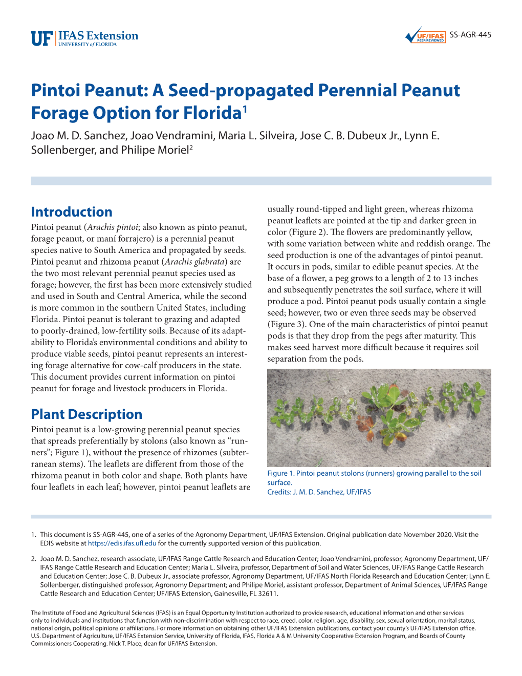 Pintoi Peanut: a Seed-Propagated Perennial Peanut Forage Option for Florida1 Joao M