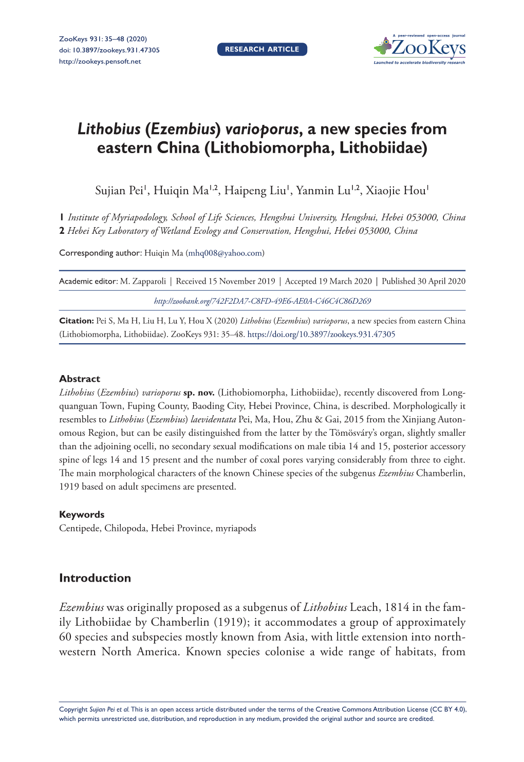 Lithobiomorpha, Lithobiidae)