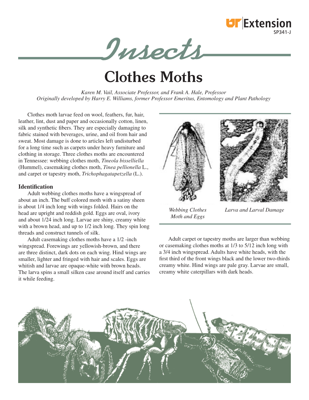 SP341-O Clothes Moths