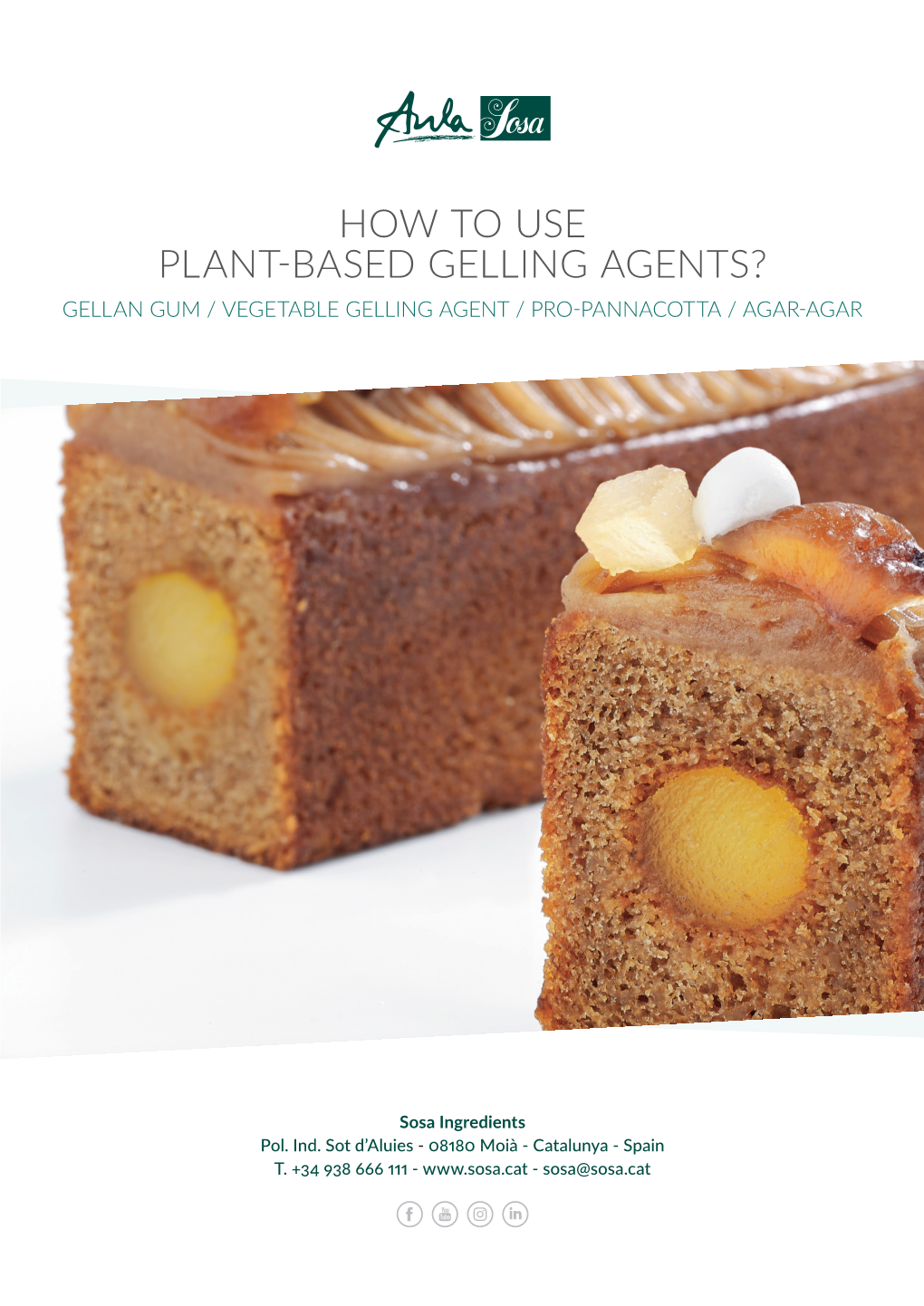 How to Use Plant-Based Gelling Agents? Gellan Gum / Vegetable Gelling Agent / Pro-Pannacotta / Agar-Agar