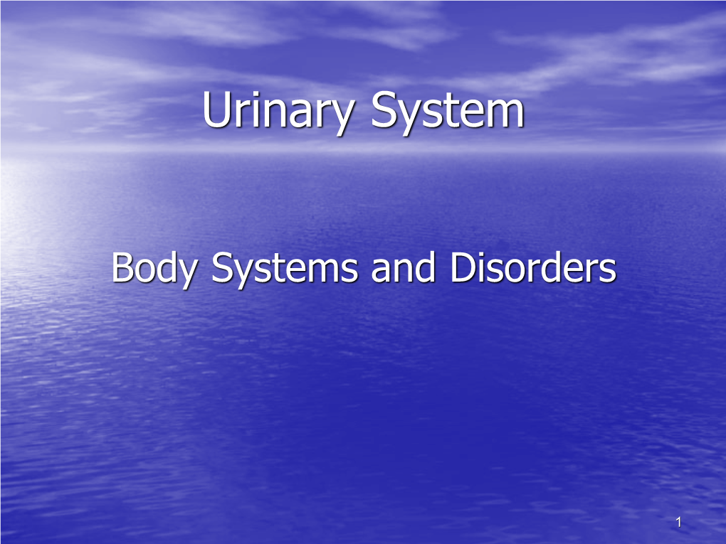 Urinary System