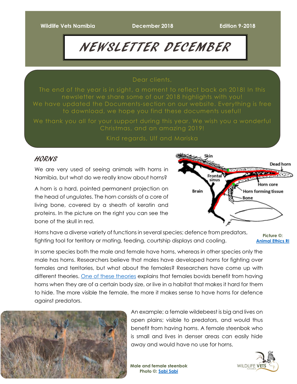 Newsletter December