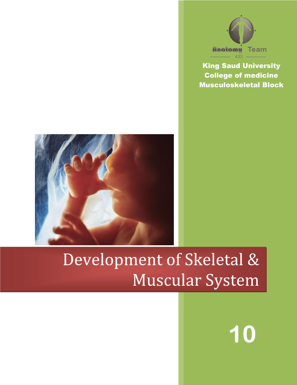 Development of Skeletal & Muscular System