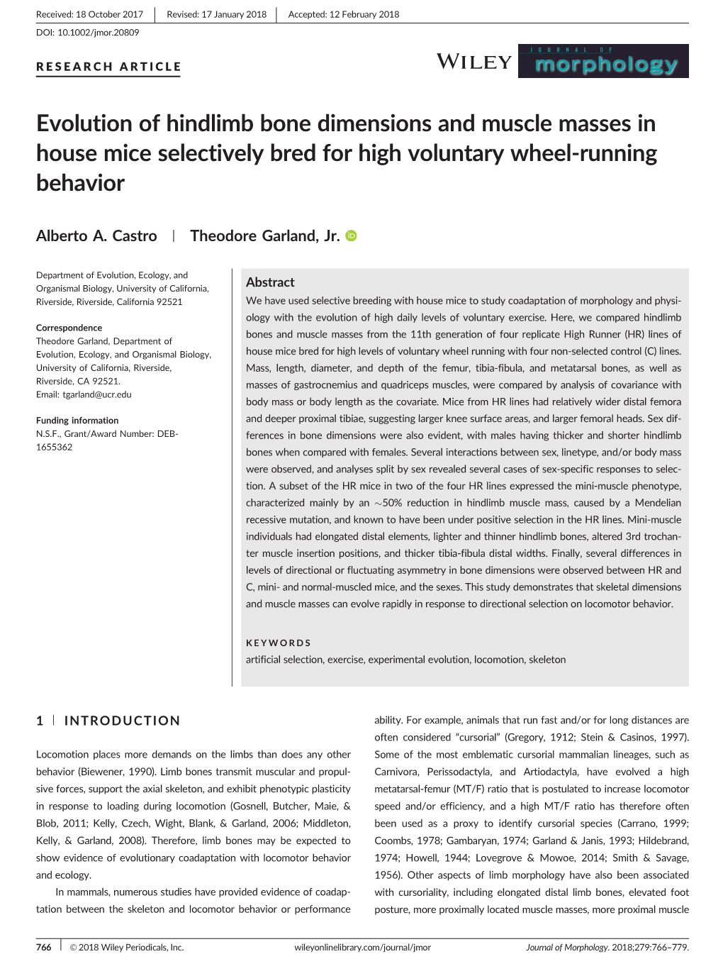 Evolution of Hindlimb Bone Dimensions and Muscle Masses in House Mice Selectively Bred for High Voluntary Wheel-Running Behavior