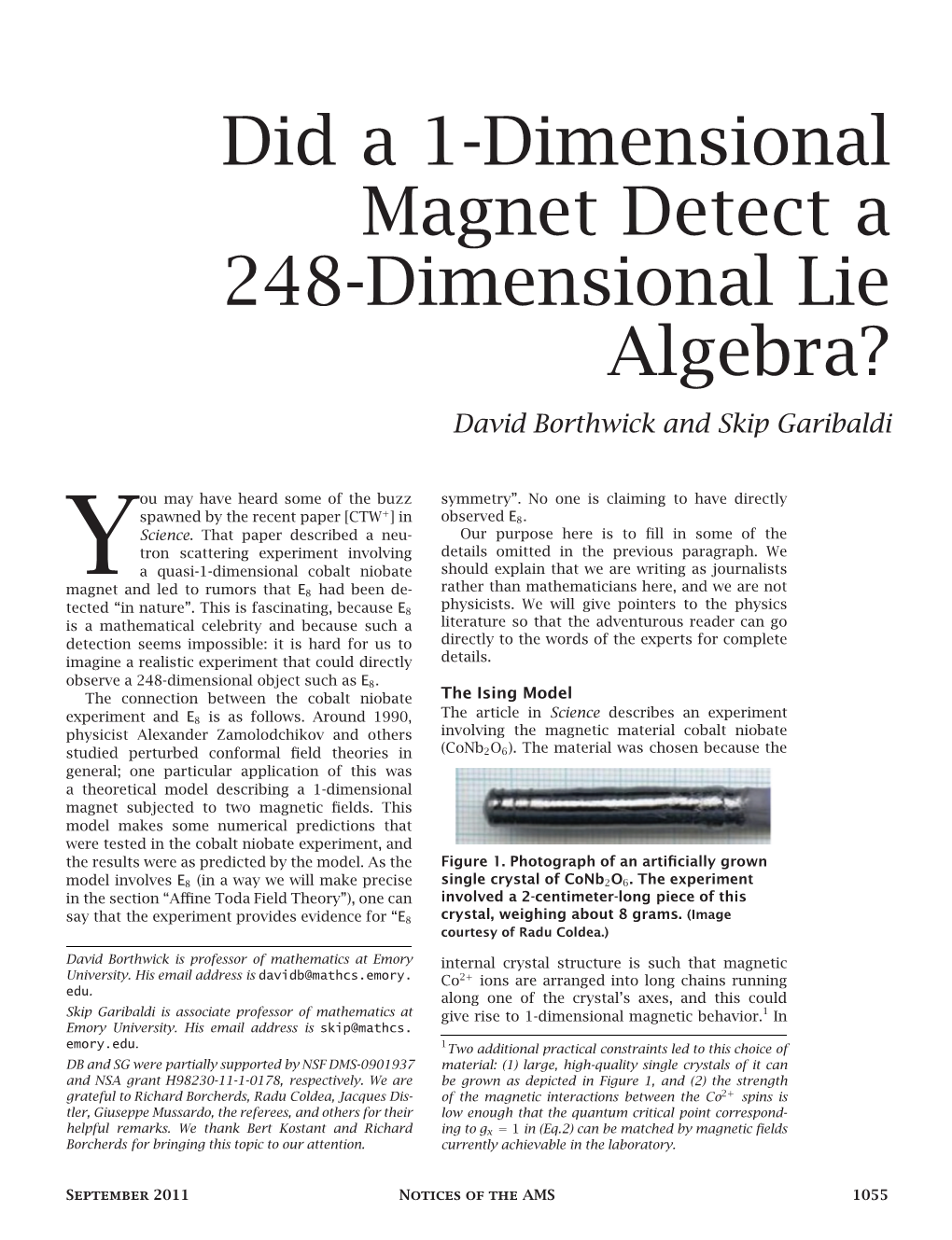 Did a 1-Dimensional Magnet Detect a 248-Dimensional Lie Algebra? David Borthwick and Skip Garibaldi