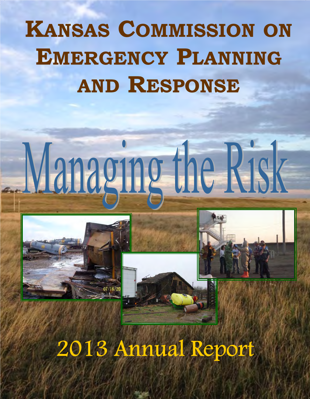 2013 Annual Report