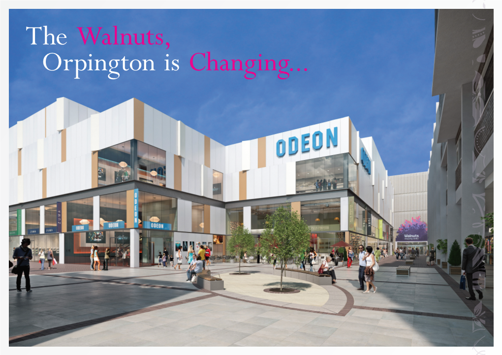 The Walnuts, Orpington Is Changing... Orpington