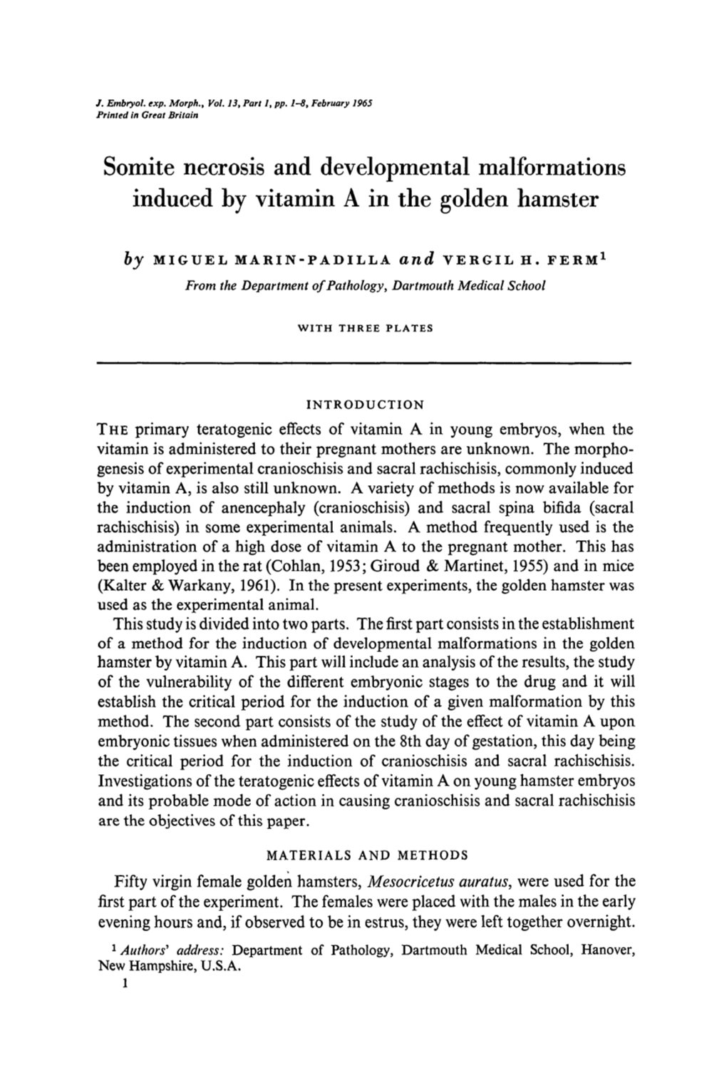 Somite Necrosis and Developmental Malformations Induced by Vitamin a in the Golden Hamster