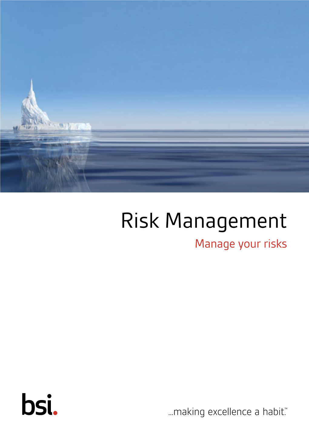 Risk Management Manage Your Risks Risks