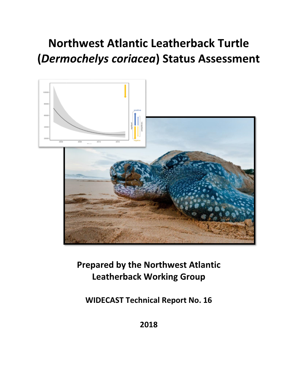 Northwest Atlantic Leatherback Turtle (Dermochelys Coriacea) Status Assessment