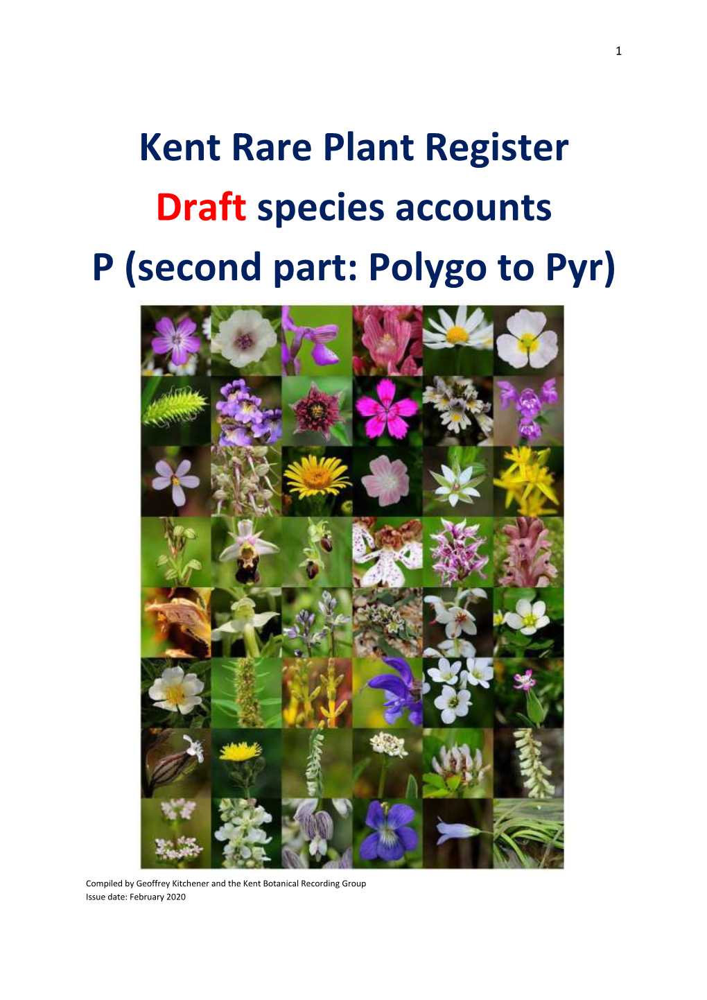 Kent Rare Plant Register Draft Species Accounts P (Second Part: Polygo to Pyr)