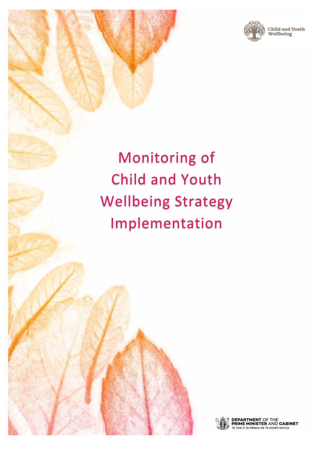 Monitoring of Child and Youth Wellbeing Strategy Implementation