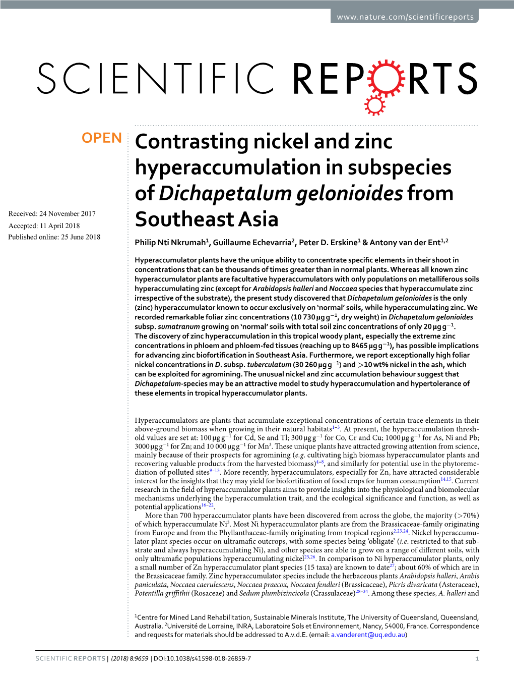 Contrasting Nickel and Zinc Hyperaccumulation in Subspecies Of