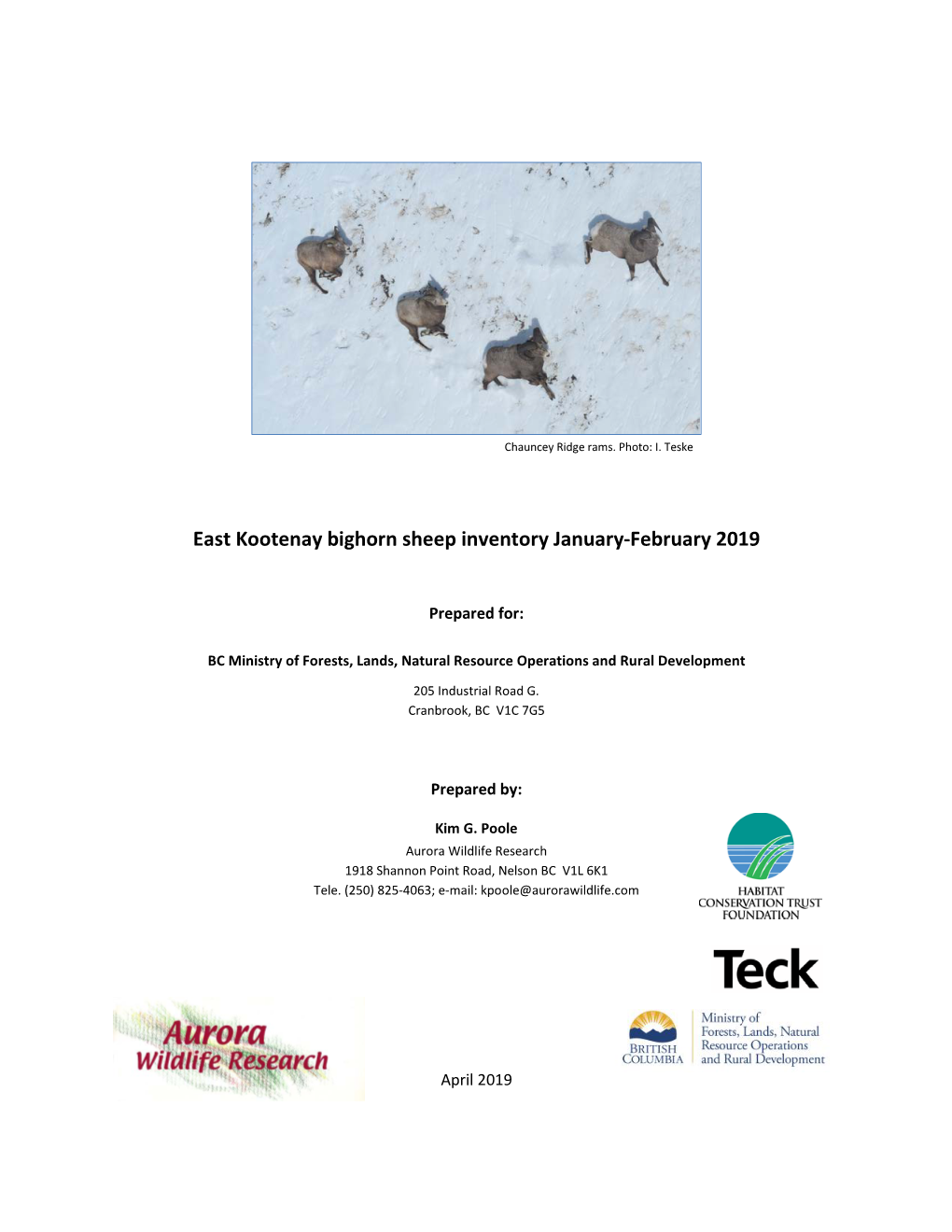 East Kootenay Bighorn Sheep Surveys 2019