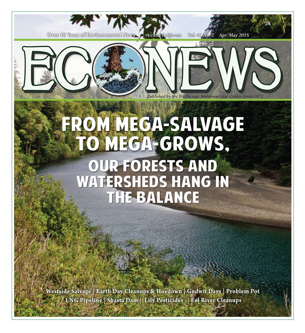 From Mega-Salvage to Mega-Grows, Our Forests and Watersheds Hang in the Balance