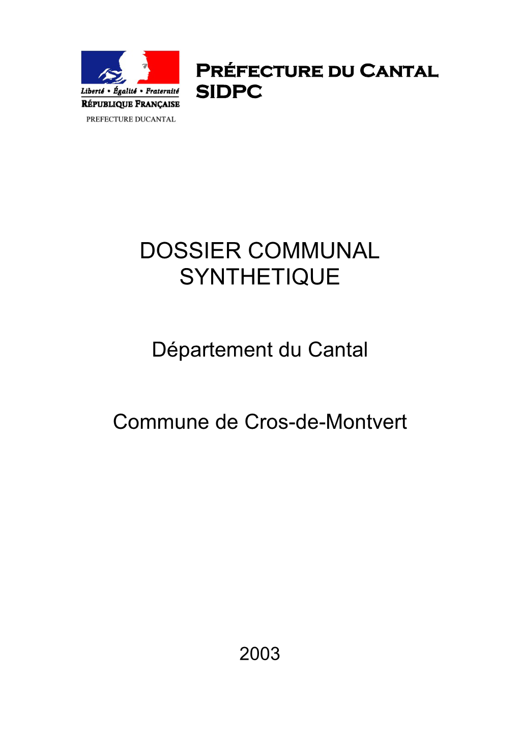 Dossier Communal Synthetique