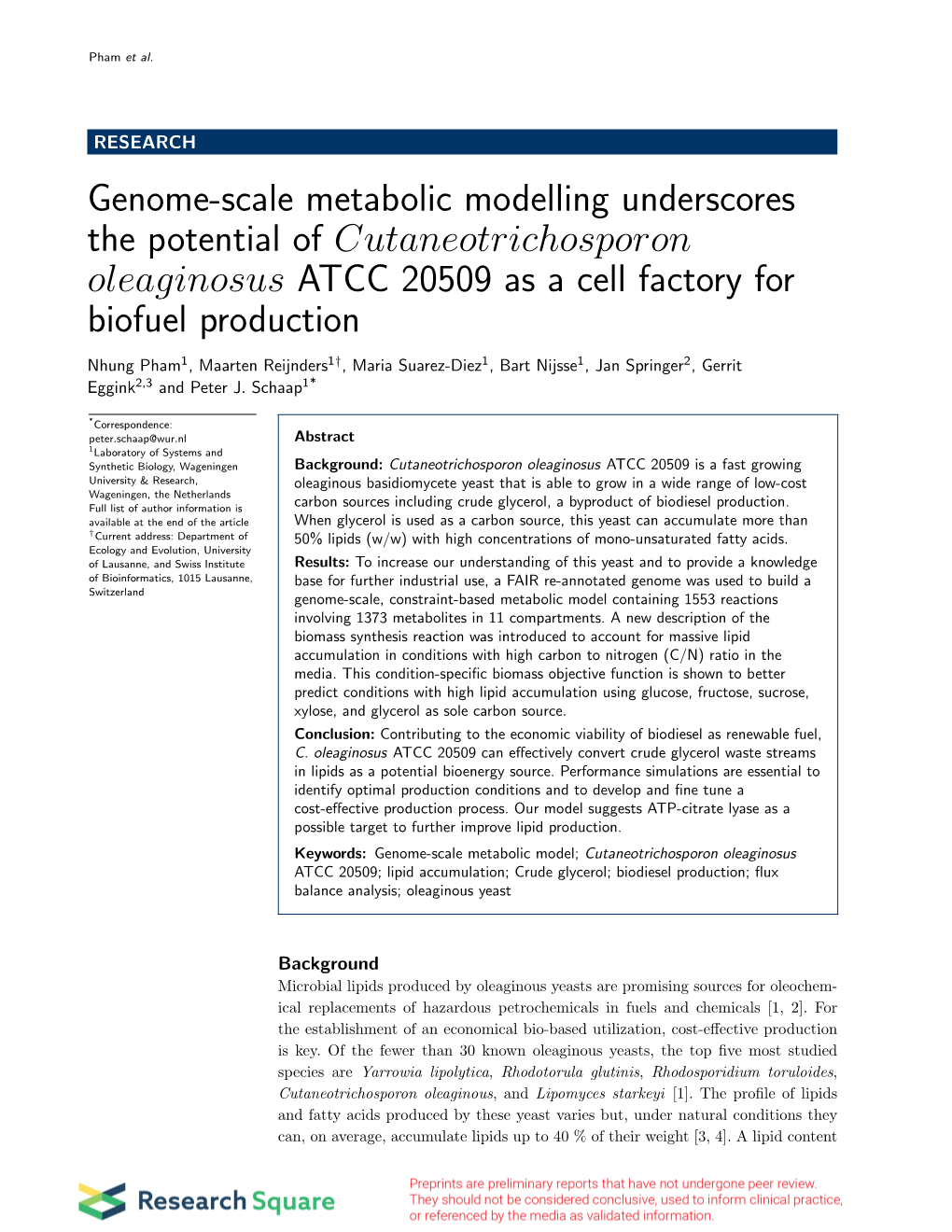 Genome-Scale Metabolic Modelling Underscores the Potential of Cutaneotrichosporon Oleaginosus ATCC 20509 As a Cell Factory for Biofuel Production